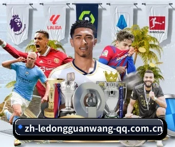 乐动官网 APP（LD SPORTS）